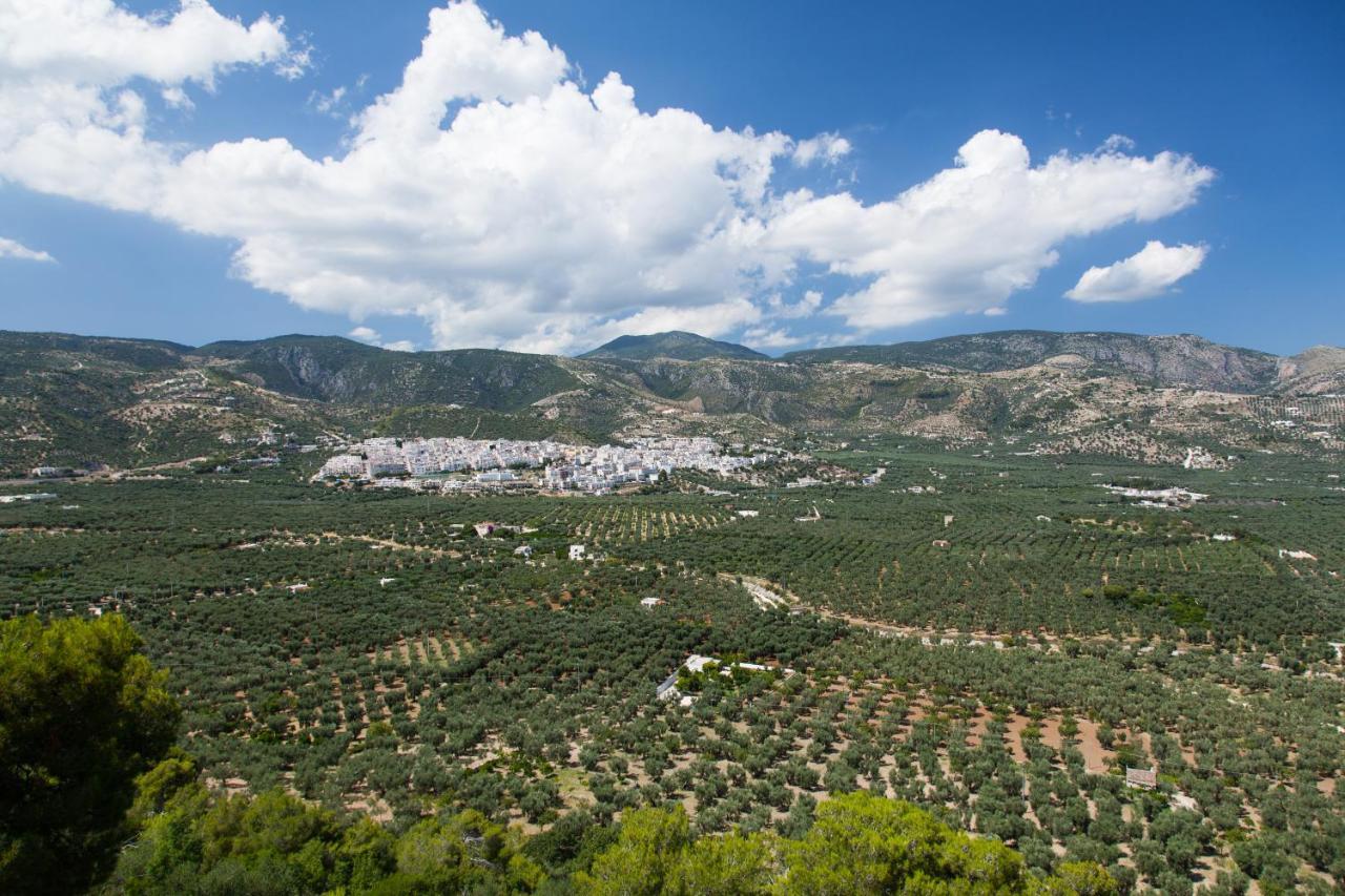 מאטינאטה Apartments Villaggio Riccio מראה חיצוני תמונה